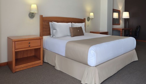 Suite junior, 1 cama de matrimonio grande