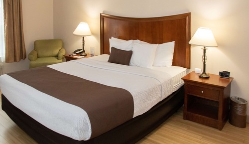 Habitación estándar, 1 cama de matrimonio grande, accesible para personas con discapacidad