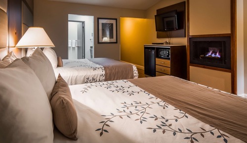 Habitación estándar, 2 camas de matrimonio, no fumadores, chimenea