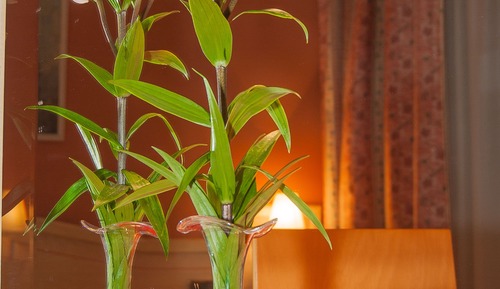 Habitación doble (con supletoria)