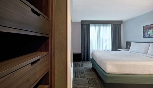 Suite, 1 cama de matrimonio grande, accesible para personas con discapacidad (Roll-In Shower)