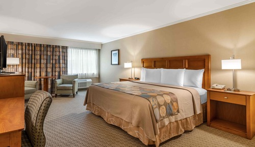 Habitación Deluxe, 1 cama de matrimonio grande (Standard Room, King Bed)