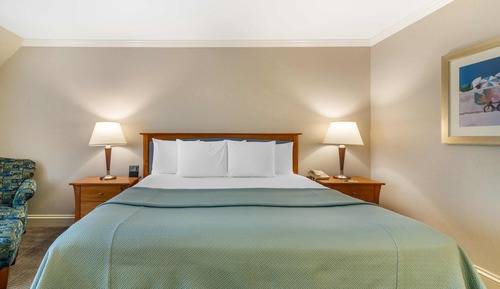 Habitación Premium, 1 cama de matrimonio grande