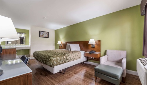 Habitación estándar, 1 cama de matrimonio grande, no fumadores