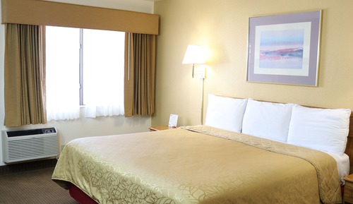 Habitación estándar, 1 cama de matrimonio grande