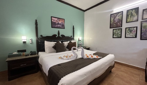 Habitación Deluxe, 1 cama de matrimonio grande