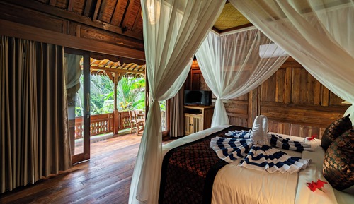 Jungle Private Pool Villa