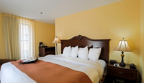 Suite, 1 cama de matrimonio con sofá cama