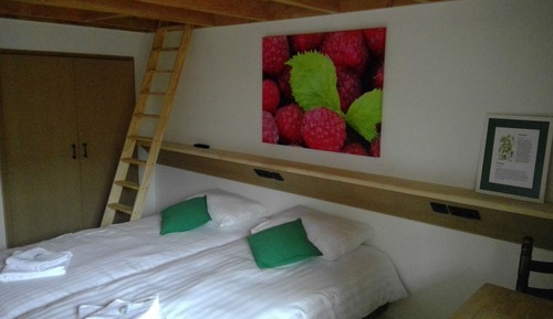 Habitación Confort