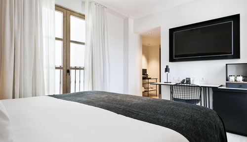 Habitación básica con 1 cama doble o 2 individuales (Uso Individual)