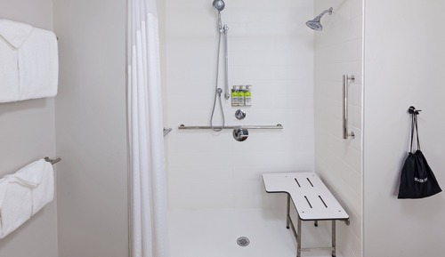 Habitación estándar, 1 cama de matrimonio grande (Mobility Roll-In Shower)