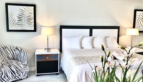 Estudio Gallery, 1 cama de matrimonio grande, cocina, vistas al patio