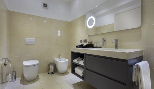 Suite ejecutiva, 1 habitación