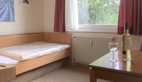 Habitación individual estándar, 1 cama individual