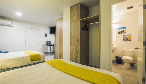 Suite estudio estándar, 2 camas dobles