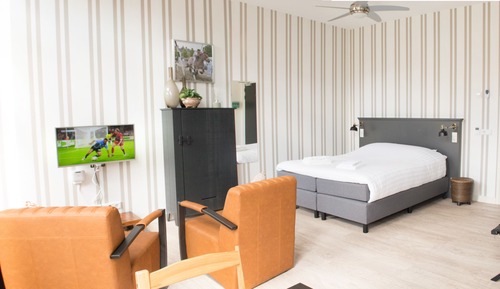 Suite estudio junior, no fumadores (Ringrijden)