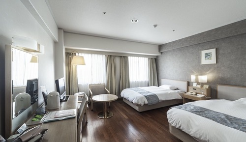 Habitación estándar con 2 camas individuales, fumadores