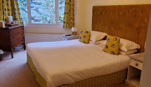 Habitación doble, 1 cama de matrimonio grande