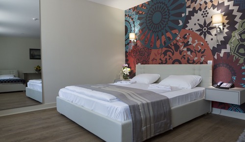 Habitación Deluxe doble de uso individual