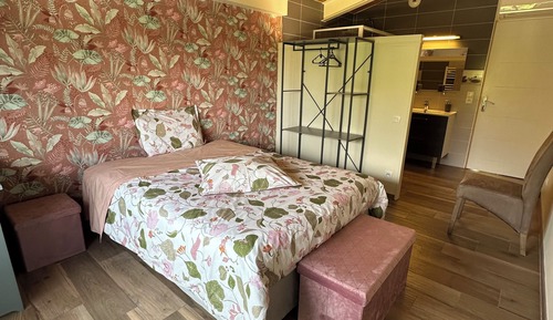 Habitación Confort