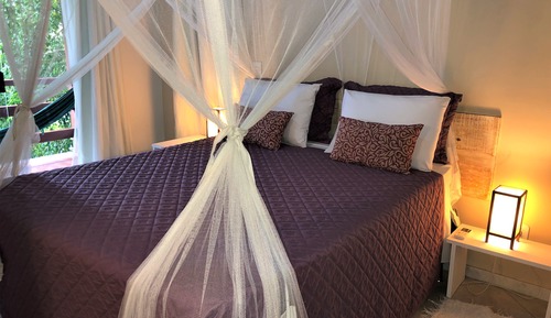 Apartamento estándar, vistas al jardín