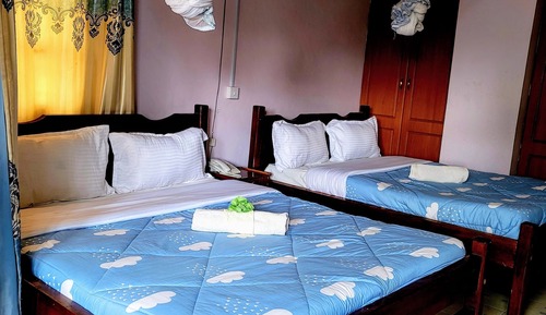 Habitación Deluxe con 2 camas individuales
