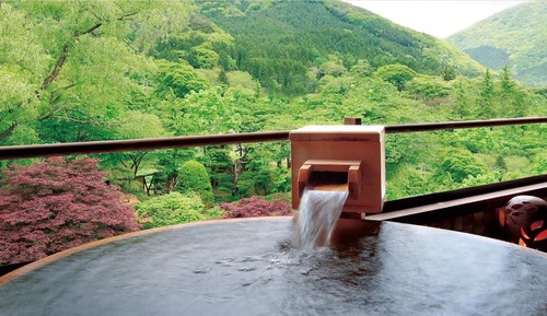 Habitación tradicional, no fumadores (Japanese Style Twin Hot Spring 316)