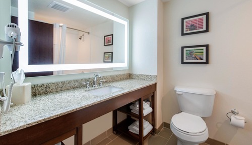 Suite, 1 cama de matrimonio grande con sofá cama, accesible para personas con discapacidad