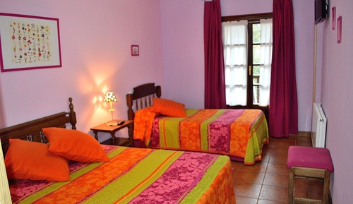 Habitación básica con 1 cama doble o 2 individuales