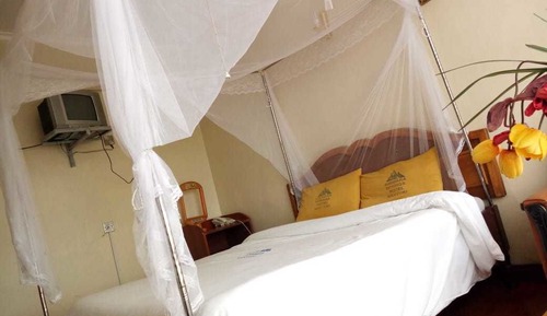 Habitación individual estándar, 1 cama individual, no fumadores