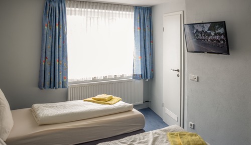 Habitación con 1 cama doble o 2 individuales