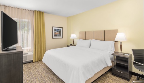 Suite, 1 cama de matrimonio grande