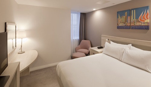 Habitación, 1 cama de matrimonio, vistas a la ciudad