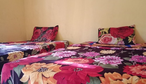 Habitación estándar con 2 camas individuales