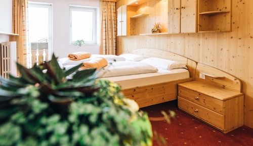 Habitación básica doble, balcón, vistas al jardín