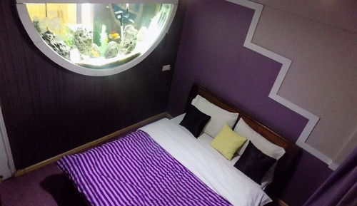 Apartamento Deluxe, 1 habitación