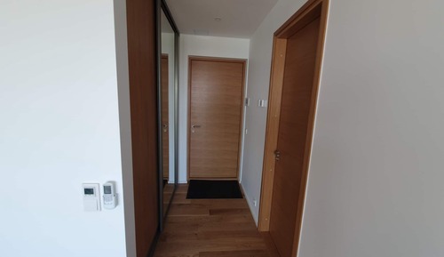 Apartamento, 1 habitación (Ringi 60)