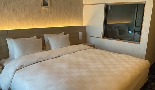 Habitación estándar doble, no fumadores (Queen Room, Single Use)