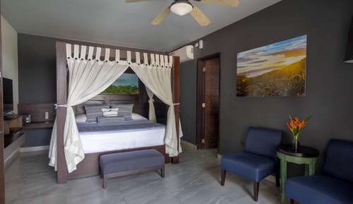 Habitación Deluxe, 1 cama de matrimonio grande, vistas al jardín