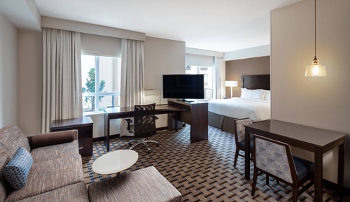 Suite estudio, 1 cama de matrimonio grande con sofá cama (Hearing Accessible)