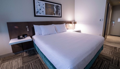 Habitación, 1 cama de matrimonio grande, accesible para personas con discapacidad (Hearing)