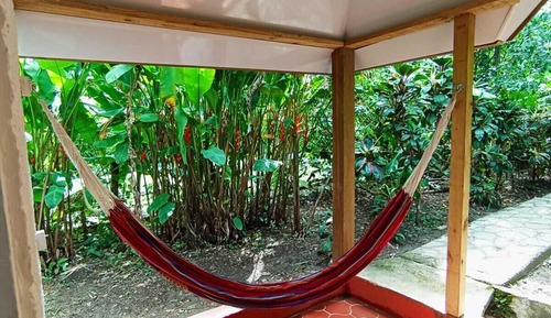 Habitación individual junior, 1 cama doble, acceso a la piscina, vistas al jardín