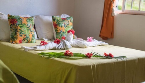 Habitación, baño compartido, vistas al jardín (Chambre Tiare)