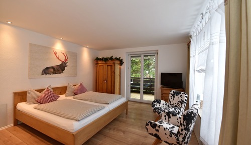 Apartamento, 1 cama doble, no fumadores