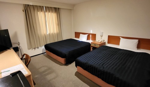Habitación Deluxe con 2 camas individuales, no fumadores