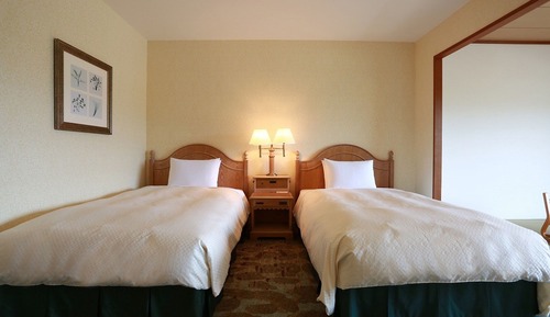 Habitación estándar con 2 camas individuales, no fumadores