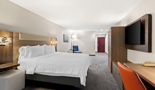 Suite, 1 cama de matrimonio grande, ducha adaptada (Mobility Accessible)