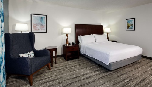 Habitación, 1 cama de matrimonio grande, accesible para personas con discapacidad (Hearing)