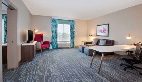 Suite, 1 cama de matrimonio grande (Mobility & Hearing - 3x3 Shower)