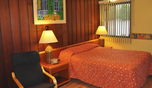 Habitación estándar, 1 cama de matrimonio